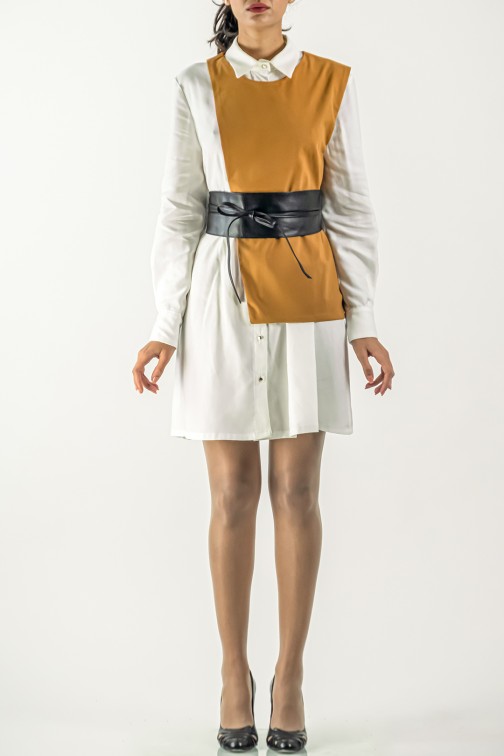 Robe Plover